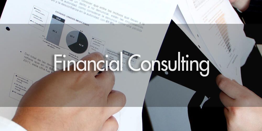 Financial Consulting INVIST